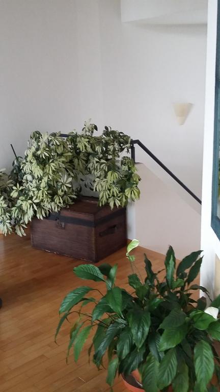 ميلانو B&B Il Vigneto المظهر الخارجي الصورة