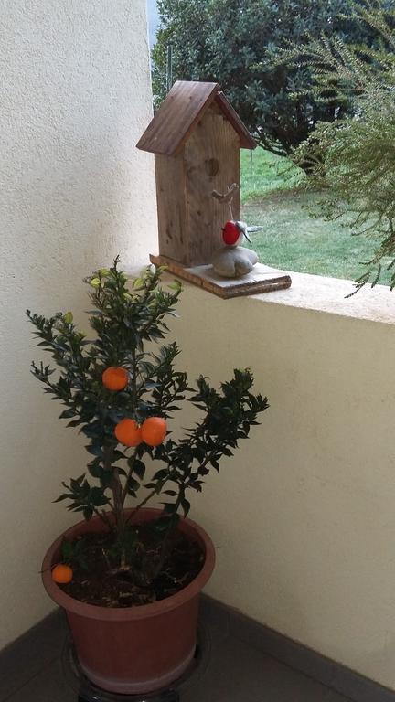 ميلانو B&B Il Vigneto المظهر الخارجي الصورة